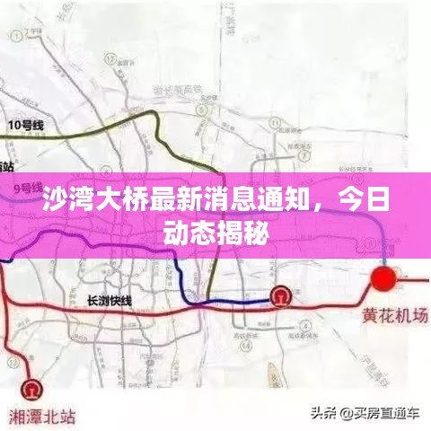 沙灣大橋最新消息通知，今日動(dòng)態(tài)揭秘