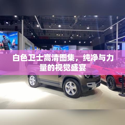 白色衛(wèi)士高清圖集，純凈與力量的視覺盛宴