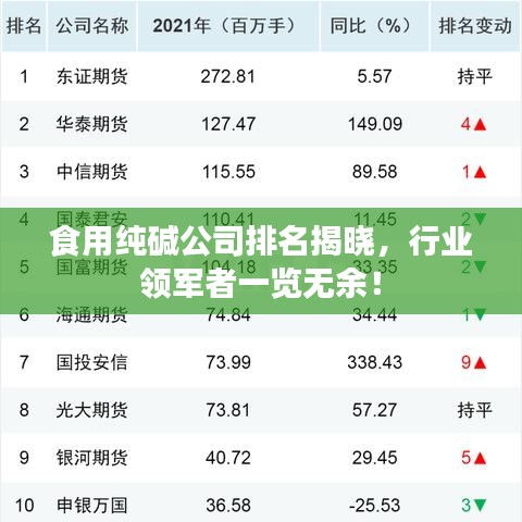 食用純堿公司排名揭曉，行業(yè)領(lǐng)軍者一覽無(wú)余！