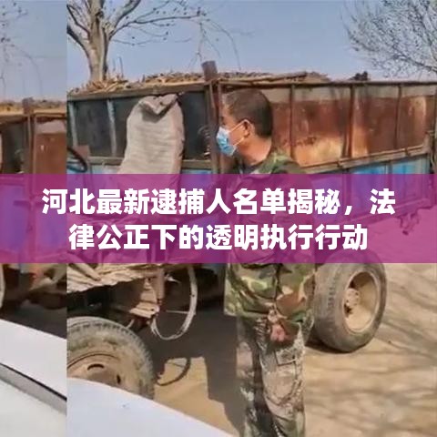 河北最新逮捕人名單揭秘，法律公正下的透明執(zhí)行行動