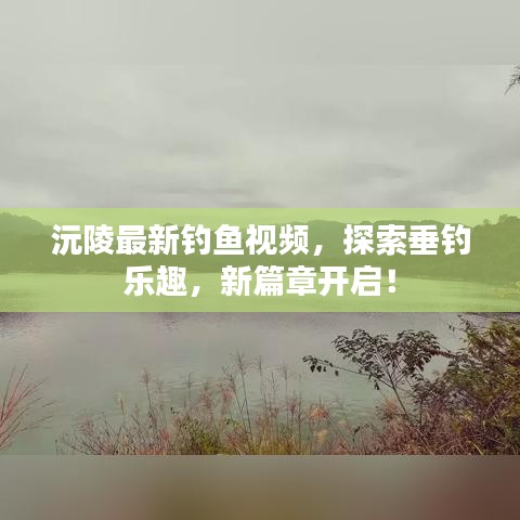 沅陵最新釣魚視頻，探索垂釣樂趣，新篇章開啟！