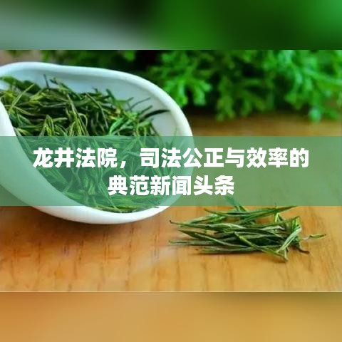 龍井法院，司法公正與效率的典范新聞?lì)^條