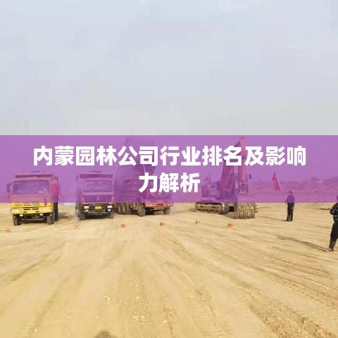 內(nèi)蒙園林公司行業(yè)排名及影響力解析