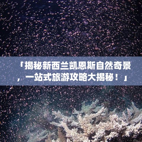 「揭秘新西蘭凱恩斯自然奇景，一站式旅游攻略大揭秘！」