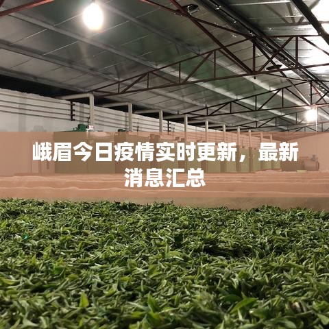 峨眉今日疫情實(shí)時(shí)更新，最新消息匯總