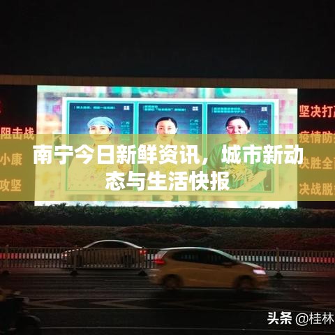 窮鳥(niǎo)入懷 第2頁(yè)