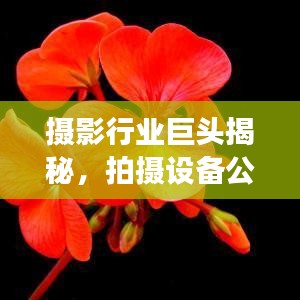 攝影行業(yè)巨頭揭秘，拍攝設(shè)備公司排名榜單重磅出爐！