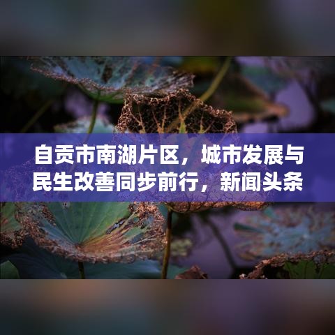 自貢市南湖片區(qū)，城市發(fā)展與民生改善同步前行，新聞?lì)^條搶先看