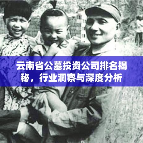 云南省公墓投資公司排名揭秘，行業(yè)洞察與深度分析
