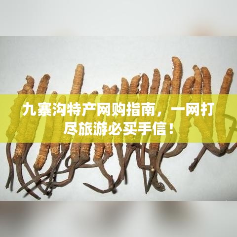 九寨溝特產(chǎn)網(wǎng)購指南，一網(wǎng)打盡旅游必買手信！