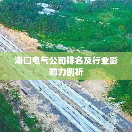 ?？陔姎夤九琶靶袠I(yè)影響力剖析