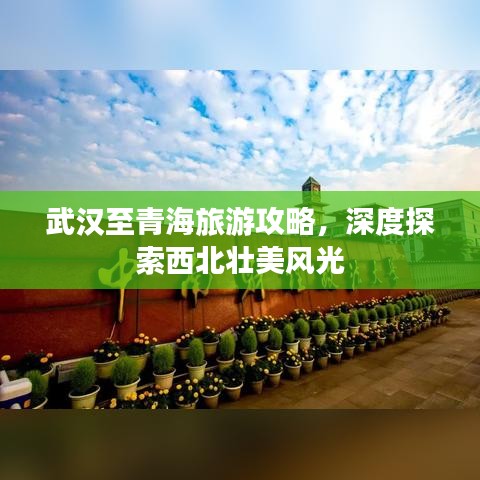 武漢至青海旅游攻略，深度探索西北壯美風(fēng)光
