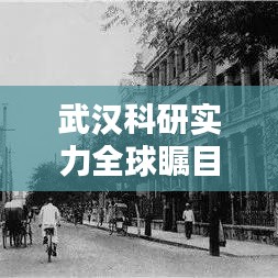 武漢科研實(shí)力全球矚目，揭秘學(xué)術(shù)研究繁榮背后的秘密！