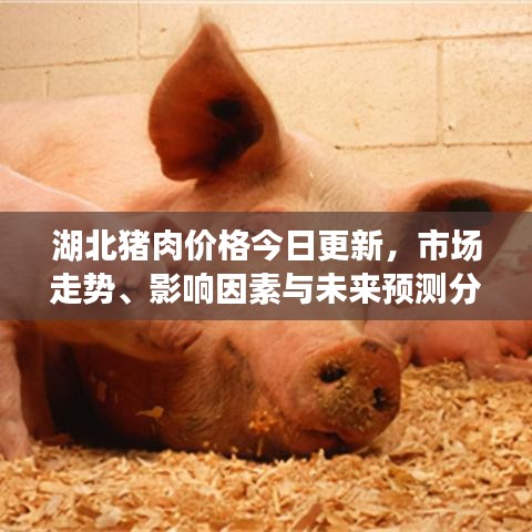 湖北豬肉價(jià)格今日更新，市場走勢、影響因素與未來預(yù)測分析