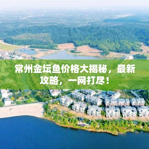 常州金壇魚價格大揭秘，最新攻略，一網(wǎng)打盡！
