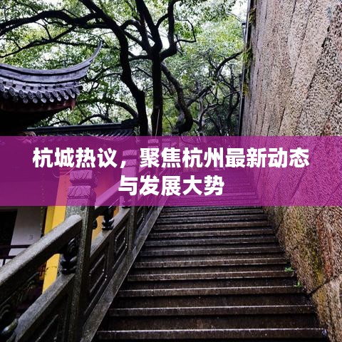 杭城熱議，聚焦杭州最新動態(tài)與發(fā)展大勢