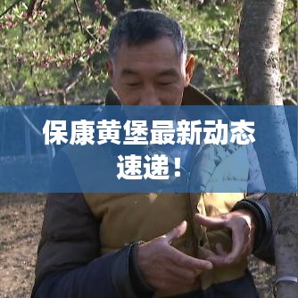 ?？迭S堡最新動(dòng)態(tài)速遞！