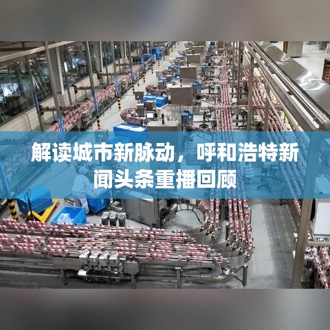 解讀城市新脈動，呼和浩特新聞頭條重播回顧