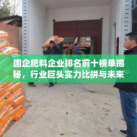 國(guó)企肥料企業(yè)排名前十榜單揭秘，行業(yè)巨頭實(shí)力比拼與未來趨勢(shì)展望