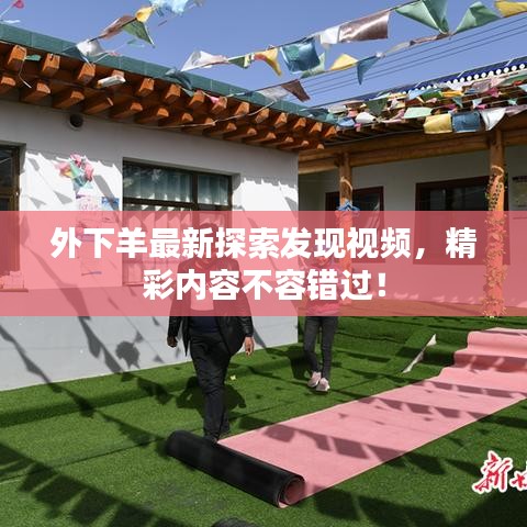 外下羊最新探索發(fā)現(xiàn)視頻，精彩內(nèi)容不容錯(cuò)過(guò)！