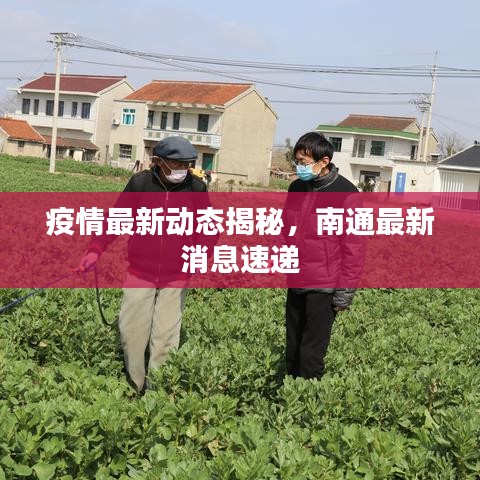 疫情最新動(dòng)態(tài)揭秘，南通最新消息速遞