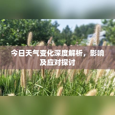 今日天氣變化深度解析，影響及應(yīng)對(duì)探討