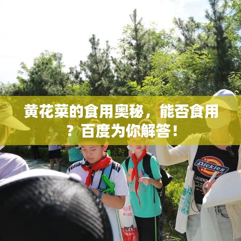 黃花菜的食用奧秘，能否食用？百度為你解答！