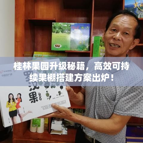 桂林果園升級秘籍，高效可持續(xù)果棚搭建方案出爐！