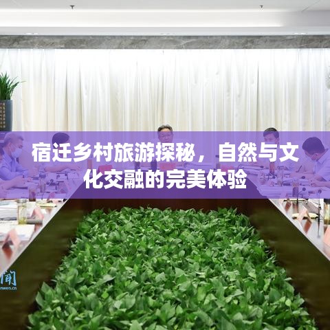 宿遷鄉(xiāng)村旅游探秘，自然與文化交融的完美體驗