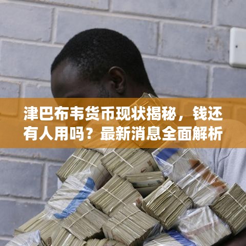 津巴布韋貨幣現(xiàn)狀揭秘，錢還有人用嗎？最新消息全面解析
