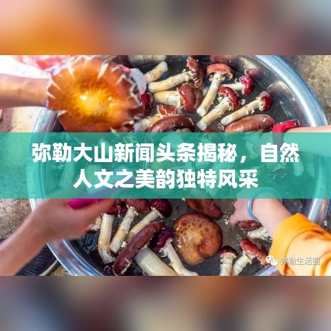 彌勒大山新聞頭條揭秘，自然人文之美韻獨(dú)特風(fēng)采