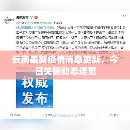 云南最新疫情消息更新，今日關(guān)鍵動態(tài)速覽