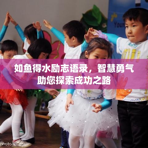如魚得水勵(lì)志語錄，智慧勇氣助您探索成功之路