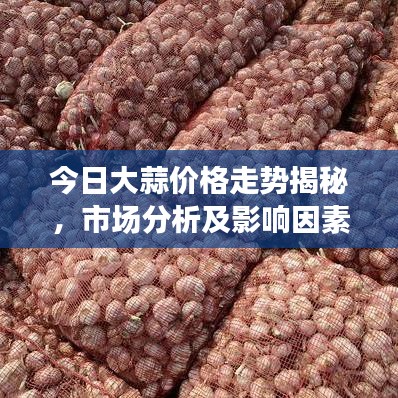 今日大蒜價格走勢揭秘，市場分析及影響因素探討