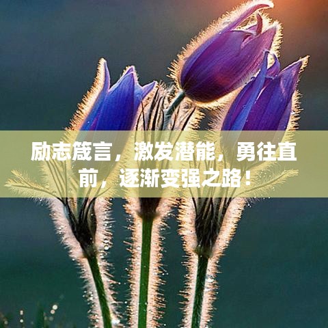 勵(lì)志箴言，激發(fā)潛能，勇往直前，逐漸變強(qiáng)之路！