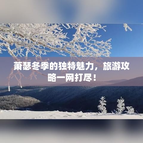 蕭瑟冬季的獨特魅力，旅游攻略一網(wǎng)打盡！