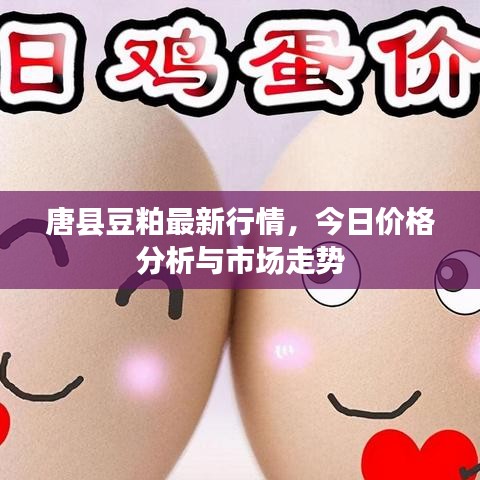 2025年5月4日 第4頁(yè)