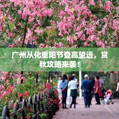 廣州從化重陽(yáng)節(jié)登高望遠(yuǎn)，賞秋攻略來(lái)襲！