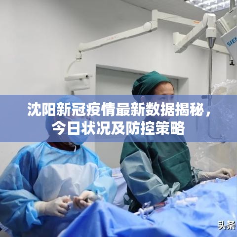 沈陽新冠疫情最新數(shù)據(jù)揭秘，今日狀況及防控策略