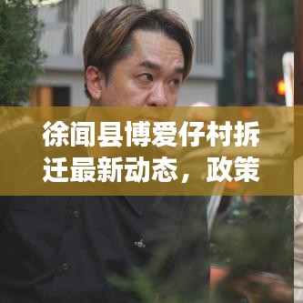 徐聞縣博愛仔村拆遷最新動態(tài)，政策解讀與進(jìn)展速覽