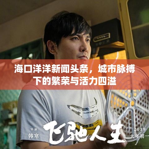 海口洋洋新聞頭條，城市脈搏下的繁榮與活力四溢