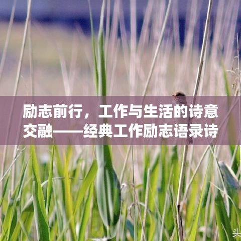勵志前行，工作與生活的詩意交融——經典工作勵志語錄詩句