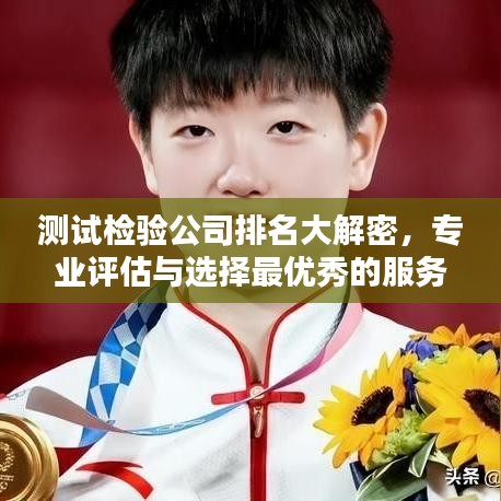 測(cè)試檢驗(yàn)公司排名大解密，專業(yè)評(píng)估與選擇最優(yōu)秀的服務(wù)提供商全攻略！