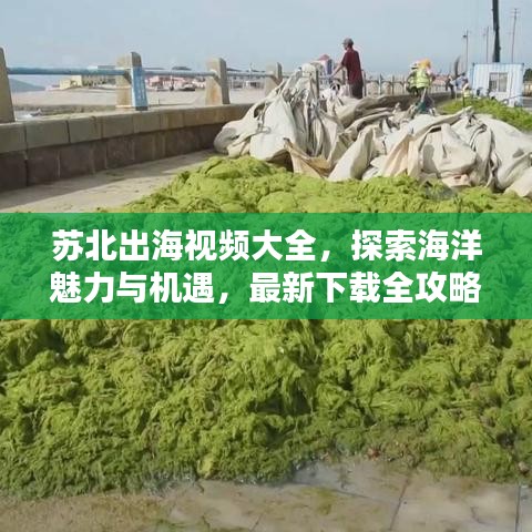 蘇北出海視頻大全，探索海洋魅力與機遇，最新下載全攻略
