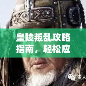 皇陵叛亂攻略指南，輕松應(yīng)對(duì)，助你稱(chēng)霸皇陵！