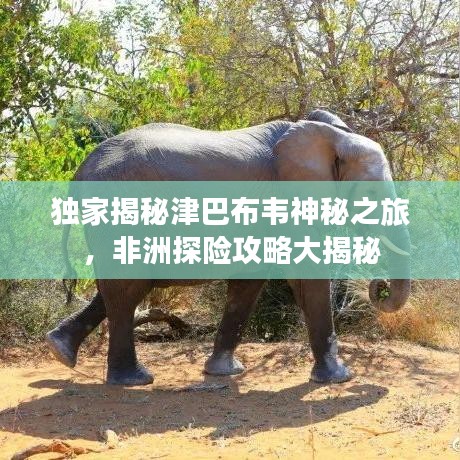 獨(dú)家揭秘津巴布韋神秘之旅，非洲探險(xiǎn)攻略大揭秘