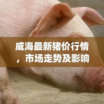 威海最新豬價(jià)行情，市場(chǎng)走勢(shì)及影響因素深度解析