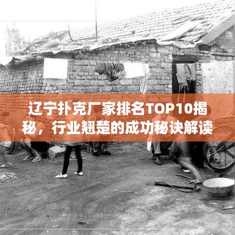 遼寧撲克廠家排名TOP10揭秘，行業(yè)翹楚的成功秘訣解讀