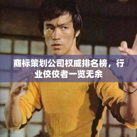 商標(biāo)策劃公司權(quán)威排名榜，行業(yè)佼佼者一覽無余