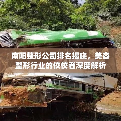 南陽整形公司排名揭曉，美容整形行業(yè)的佼佼者深度解析